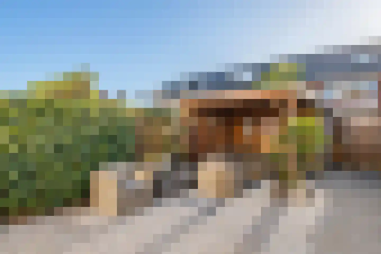 Gentiaanblauwtje 9 Tiel thumbnail 20