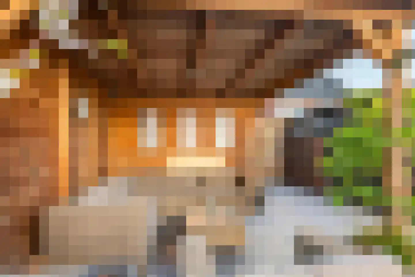 Gentiaanblauwtje 9 Tiel thumbnail 21