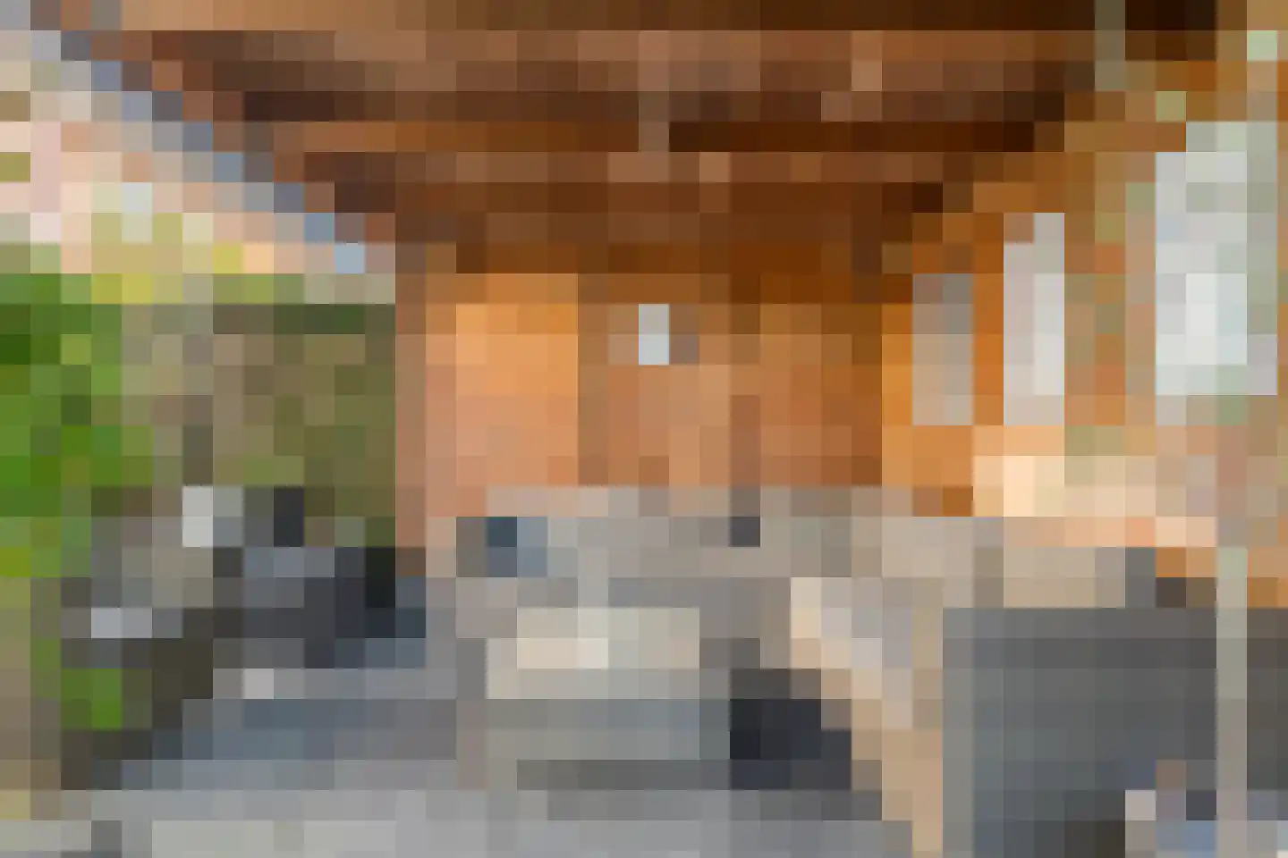 Gentiaanblauwtje 9 Tiel thumbnail 22