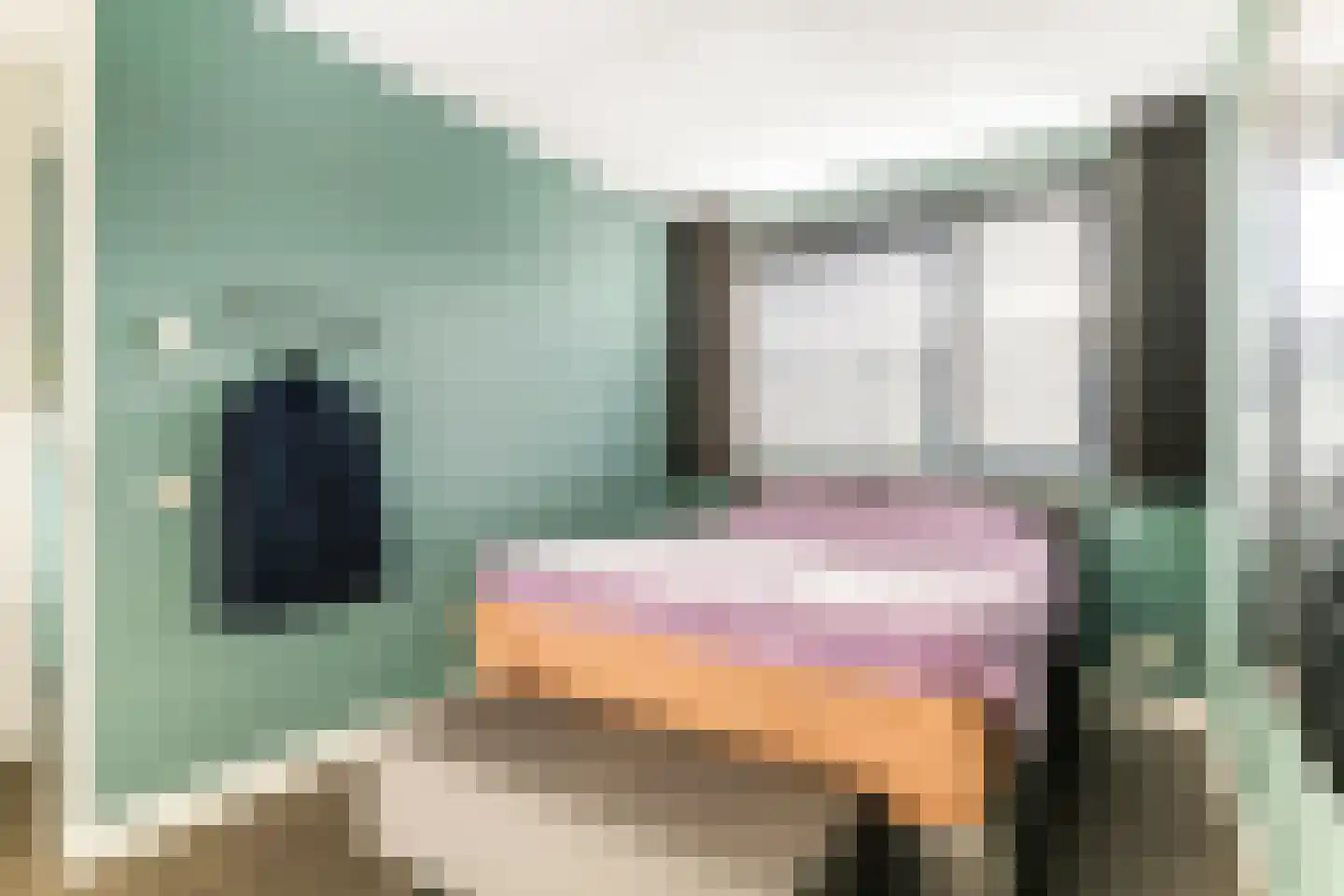 Gentiaanblauwtje 9 Tiel thumbnail 28