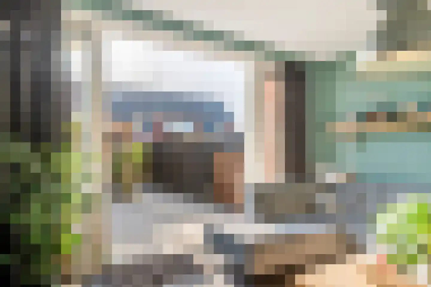Gentiaanblauwtje 9 Tiel foto 3