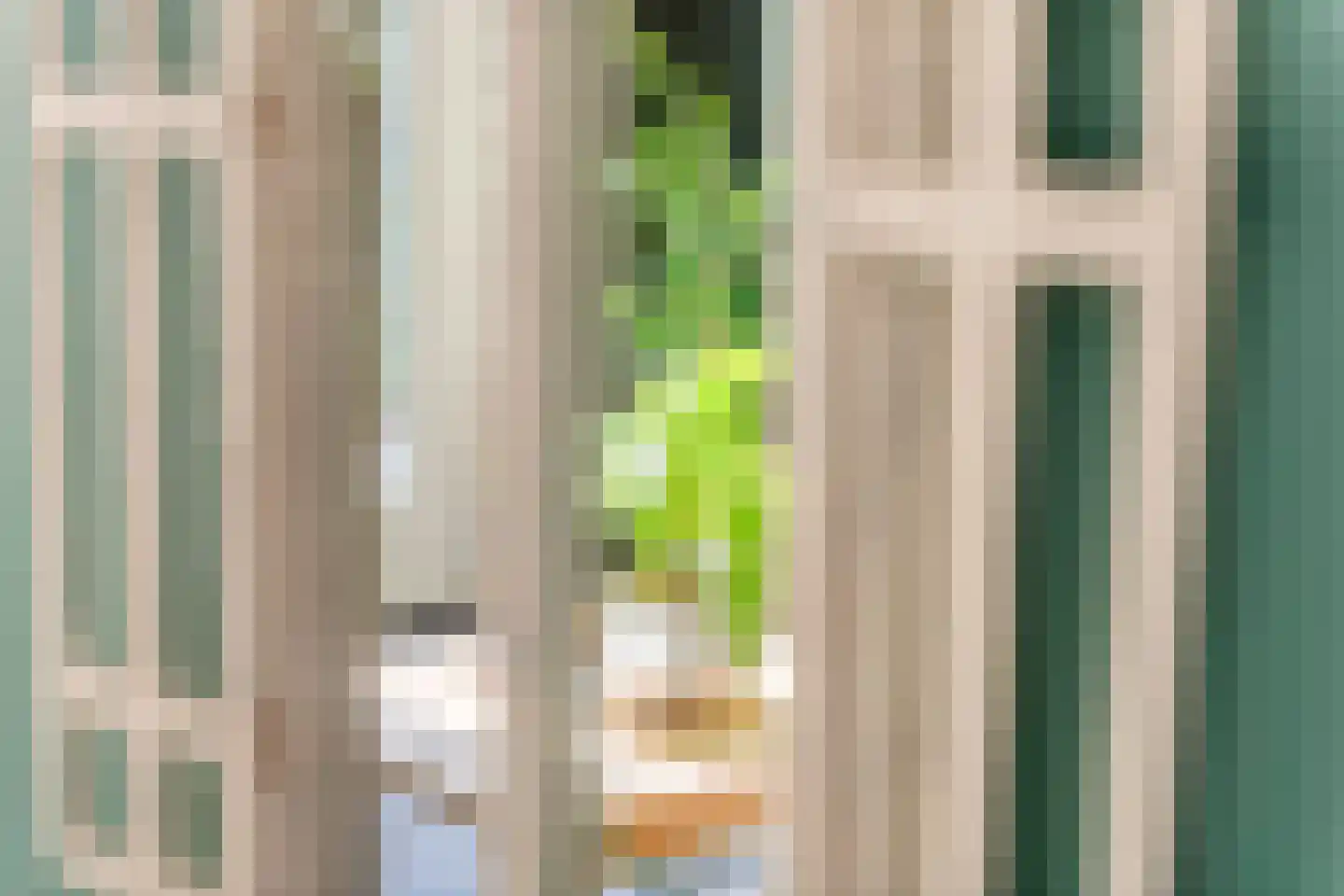 Gentiaanblauwtje 9 Tiel thumbnail 8