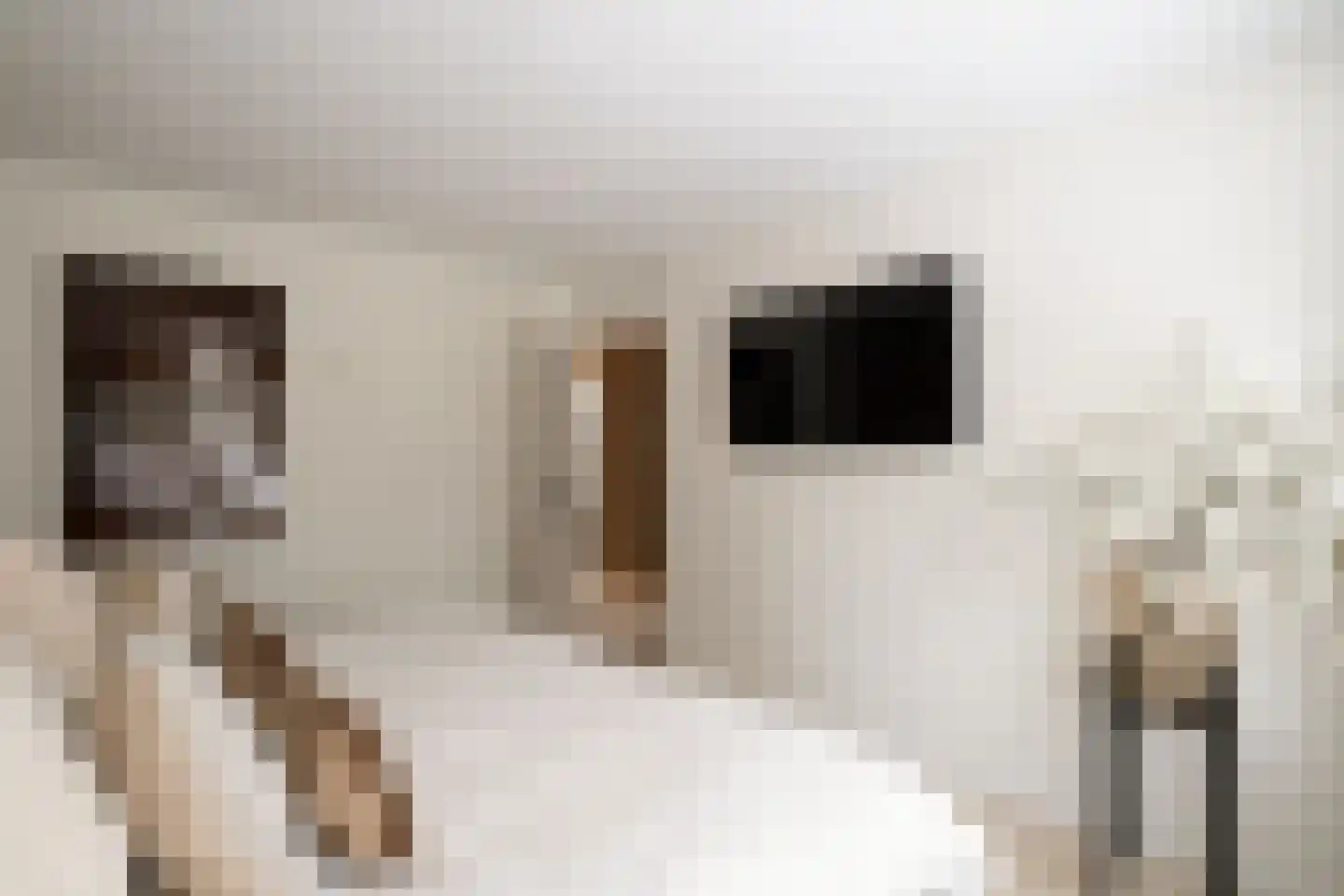 Gentiaanhof 7 Losser thumbnail 23