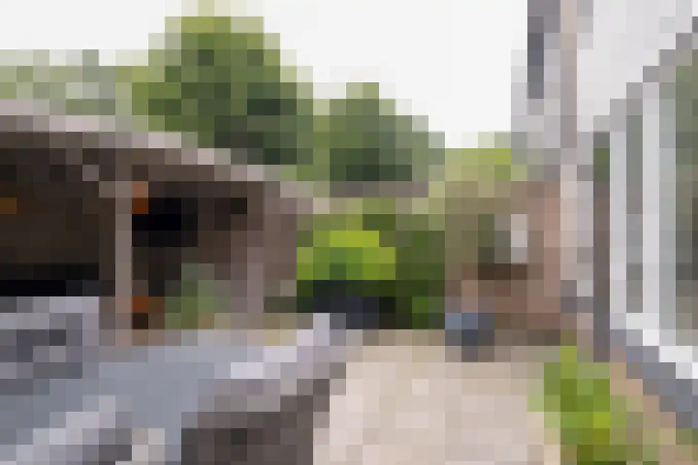 Gentiaanhof 7 Losser thumbnail 31