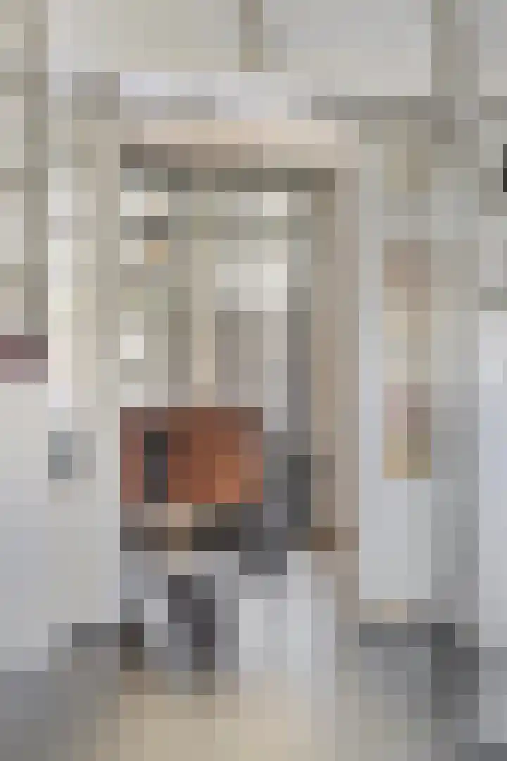 Gentiaanhof 80 Roermond thumbnail 19