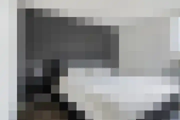 Gentiaanhof 80 Roermond thumbnail 22