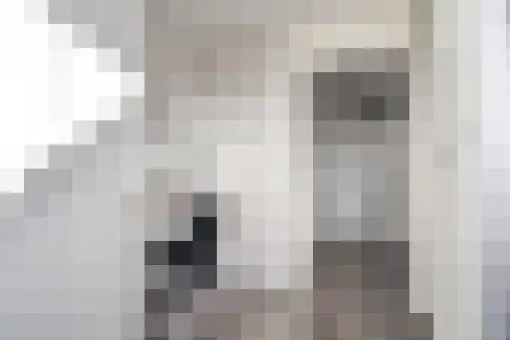 Gentiaanhof 80 Roermond thumbnail 30