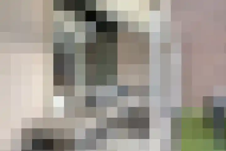 Gentiaanhof 80 Roermond thumbnail 35