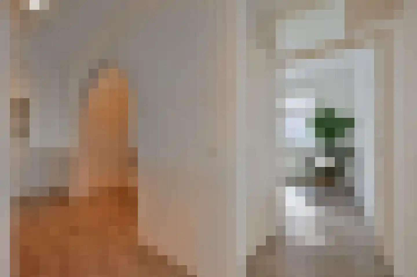 Gentiaanplein 18 Amsterdam thumbnail 15