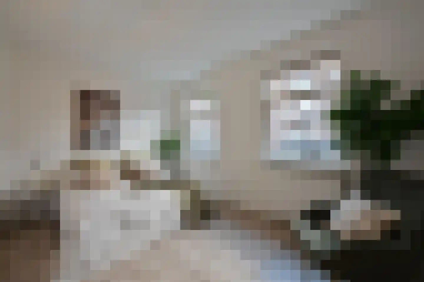 Gentiaanplein 18 Amsterdam thumbnail 16