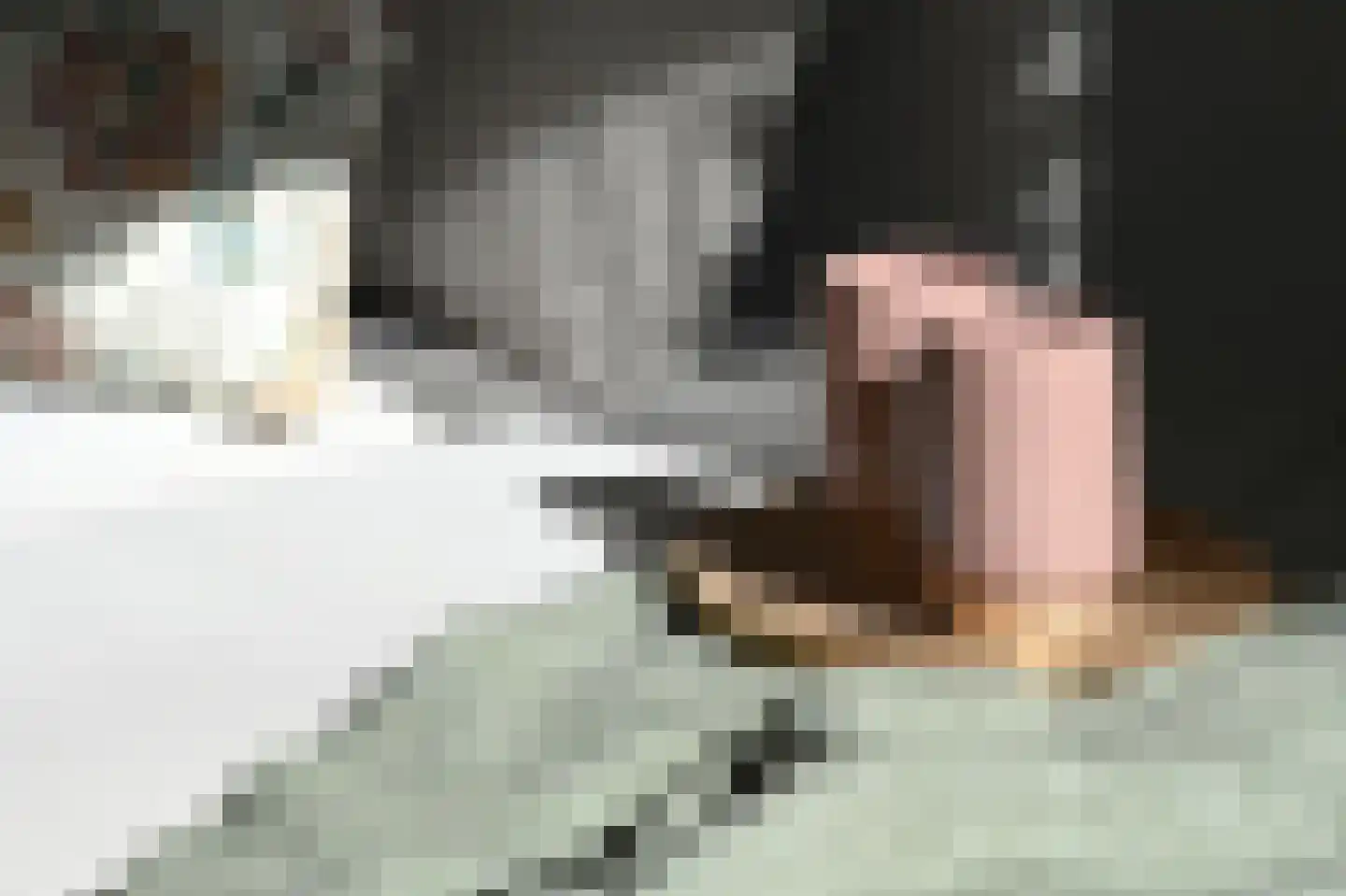 Gentiaanplein 18 Amsterdam thumbnail 7