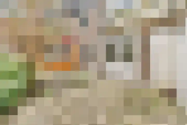 Gentiaanplein 20 1 Amsterdam thumbnail 13