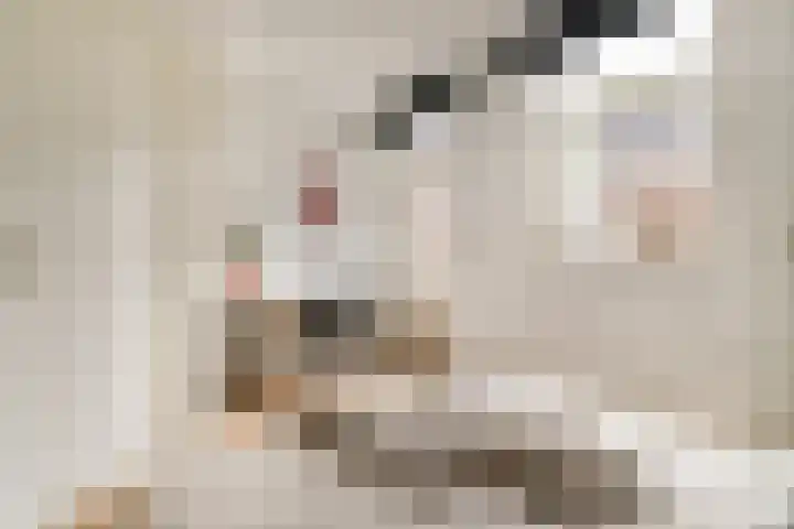 Gentiaanplein 20 1 Amsterdam thumbnail 16