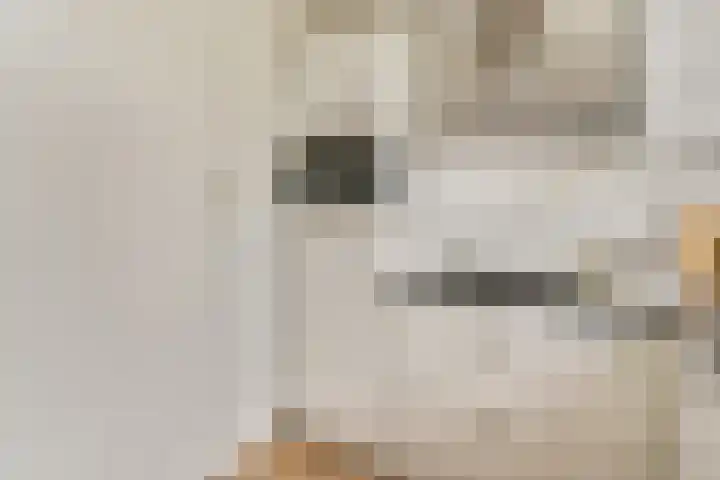 Gentiaanplein 20 1 Amsterdam thumbnail 6