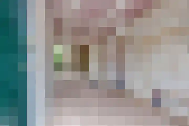 Gentiaanplein 24 H Amsterdam thumbnail 9