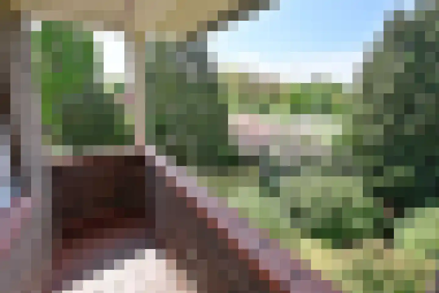 Gentiaanstraat 1 Bussum thumbnail 19