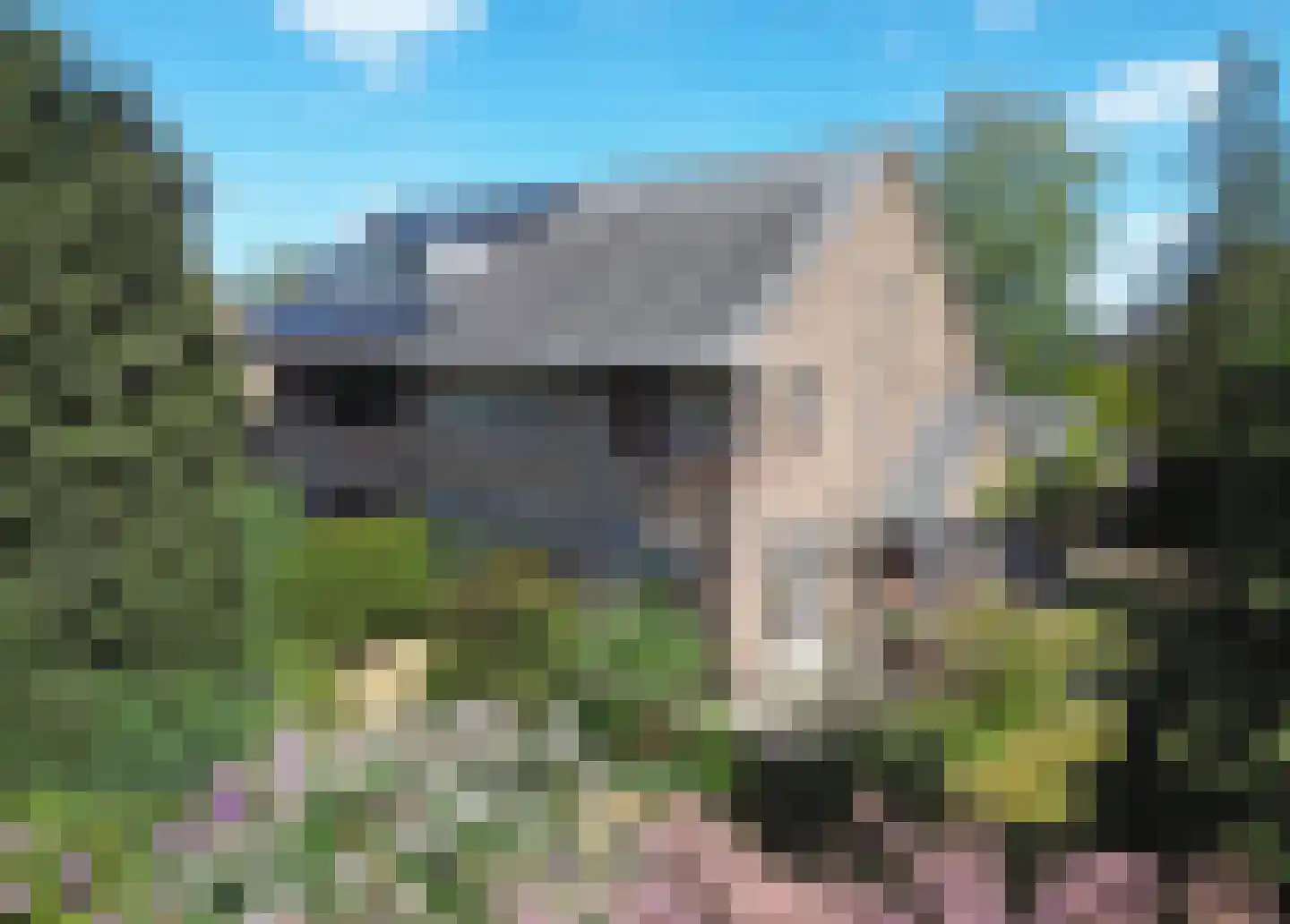 Gentiaanstraat 1 Bussum thumbnail 33