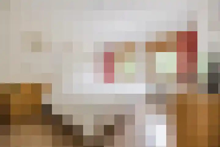 Gentiaanstraat 10 Terneuzen thumbnail 13