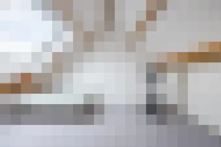 Gentiaanstraat 10 Terneuzen thumbnail 22