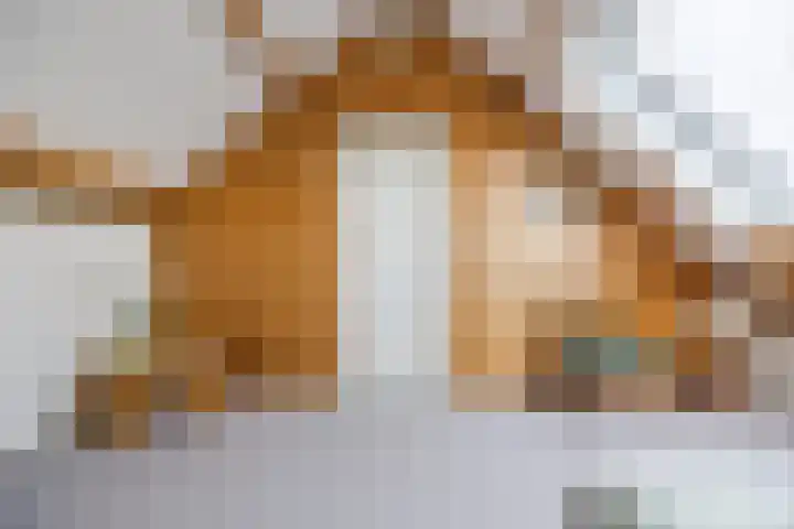 Gentiaanstraat 10 Terneuzen thumbnail 23