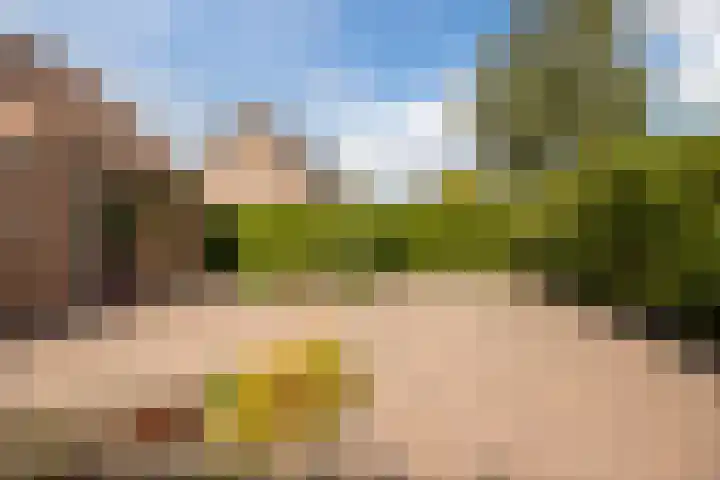 Gentiaanstraat 10 Terneuzen thumbnail 24