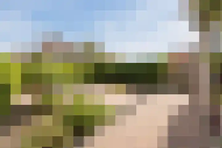 Gentiaanstraat 10 Terneuzen thumbnail 25