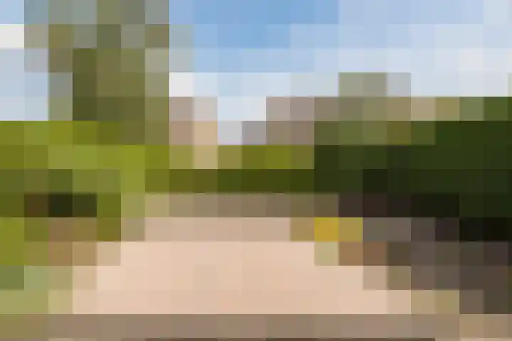 Gentiaanstraat 10 Terneuzen thumbnail 26