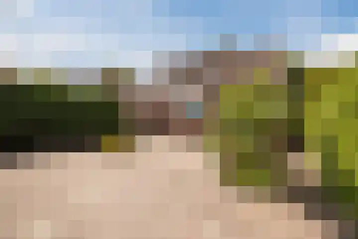 Gentiaanstraat 10 Terneuzen thumbnail 27