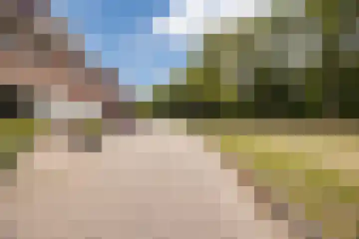 Gentiaanstraat 10 Terneuzen thumbnail 29