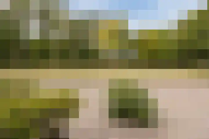Gentiaanstraat 10 Terneuzen thumbnail 30