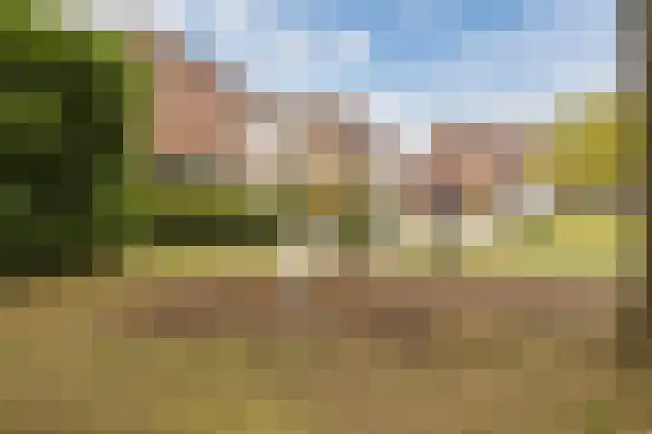 Gentiaanstraat 10 Terneuzen thumbnail 31