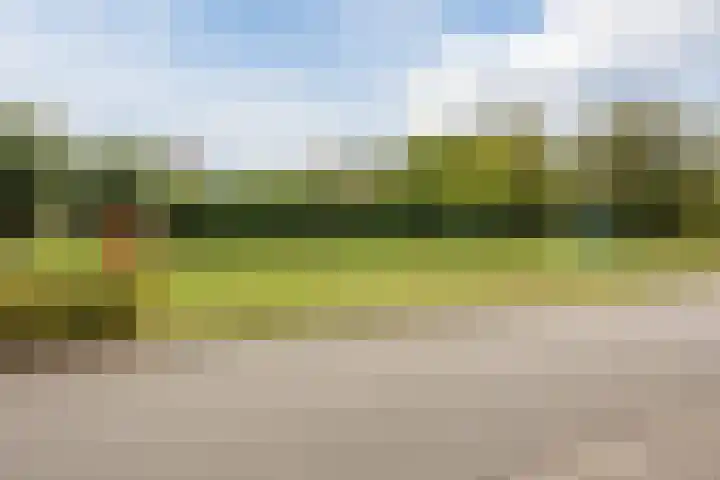 Gentiaanstraat 10 Terneuzen thumbnail 32