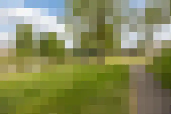 Gentiaanstraat 10 Terneuzen thumbnail 33