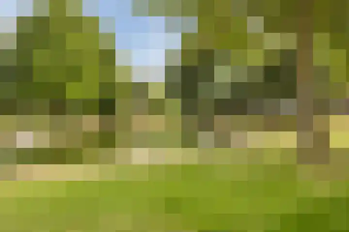 Gentiaanstraat 10 Terneuzen thumbnail 34