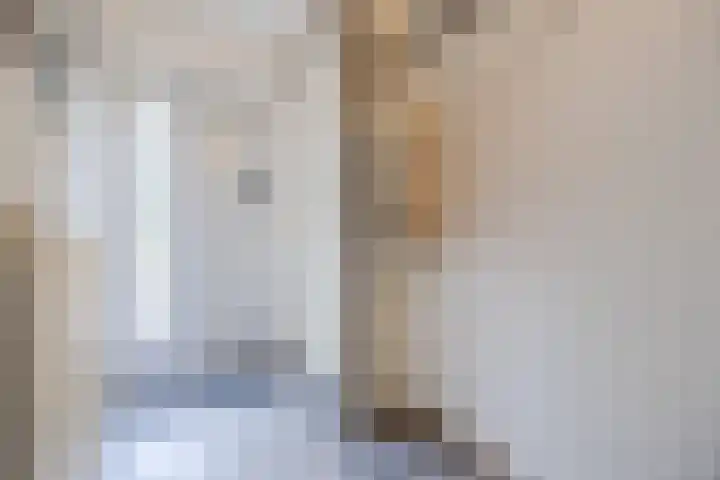 Gentiaanstraat 10 Terneuzen thumbnail 5