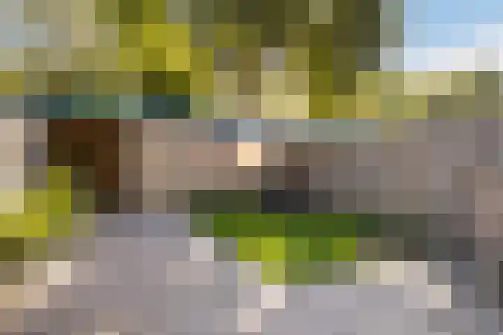 Gentiaanstraat 120 Apeldoorn thumbnail 11