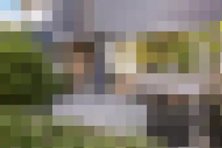 Gentiaanstraat 120 Apeldoorn thumbnail 26