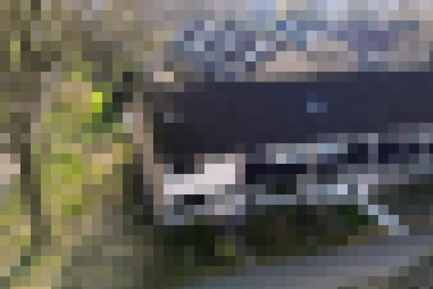 Gentiaanstraat 124 Apeldoorn thumbnail 32