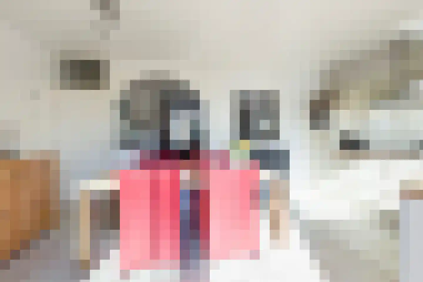 Gentiaanstraat 124 Apeldoorn thumbnail 9