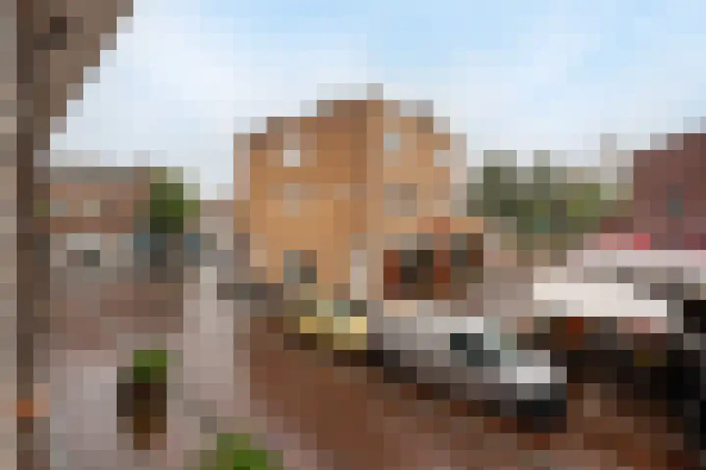 Gentiaanstraat 14 1 Amsterdam thumbnail 15