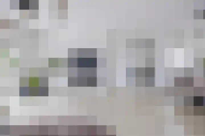 Gentiaanstraat 17 Bergen op Zoom thumbnail 19