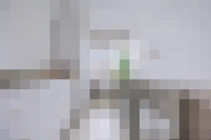 Gentiaanstraat 17 Bergen op Zoom thumbnail 37