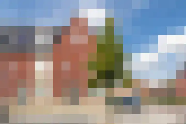 Gentiaanstraat 17 Bergen op Zoom thumbnail 7