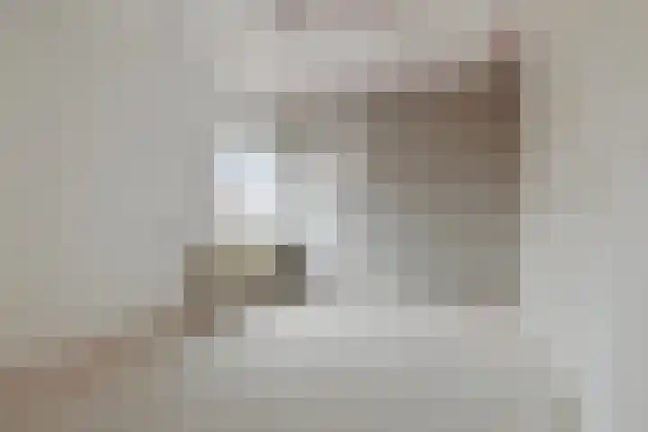 Gentiaanstraat 18 Amsterdam thumbnail 14