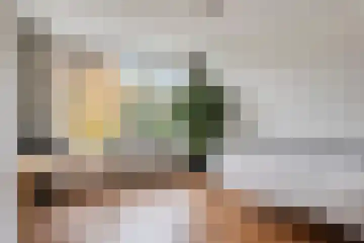Gentiaanstraat 19 Maarheeze thumbnail 23