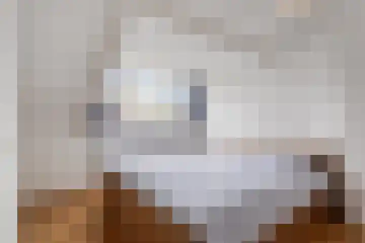 Gentiaanstraat 19 Maarheeze thumbnail 31