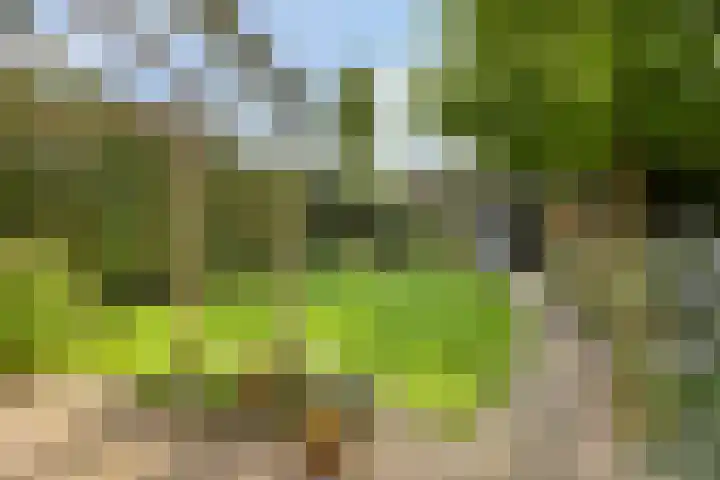 Gentiaanstraat 19 Maarheeze thumbnail 33