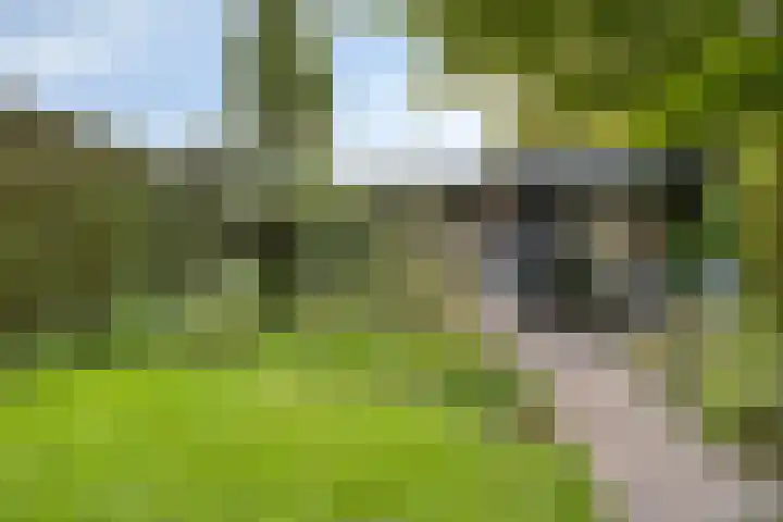 Gentiaanstraat 19 Maarheeze thumbnail 35