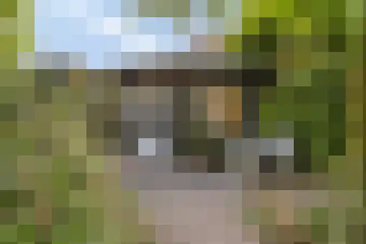 Gentiaanstraat 19 Maarheeze thumbnail 36