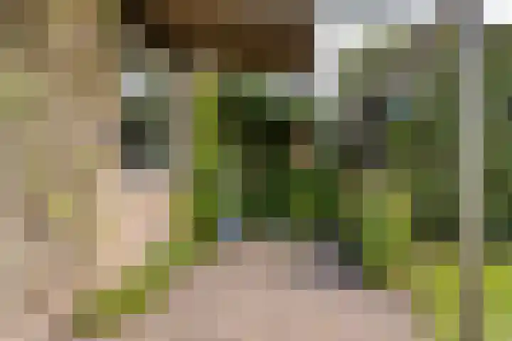 Gentiaanstraat 19 Maarheeze thumbnail 37
